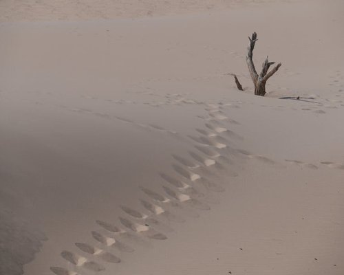 Persona abriendo la ventana para recibir luz natural por la mañana